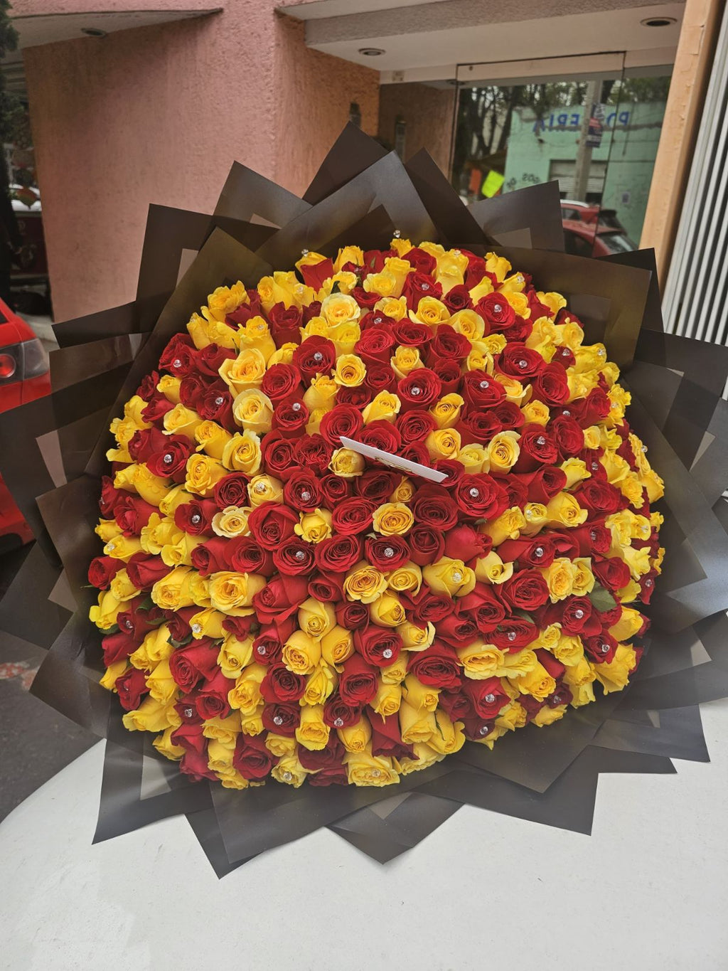 50 Girasoles