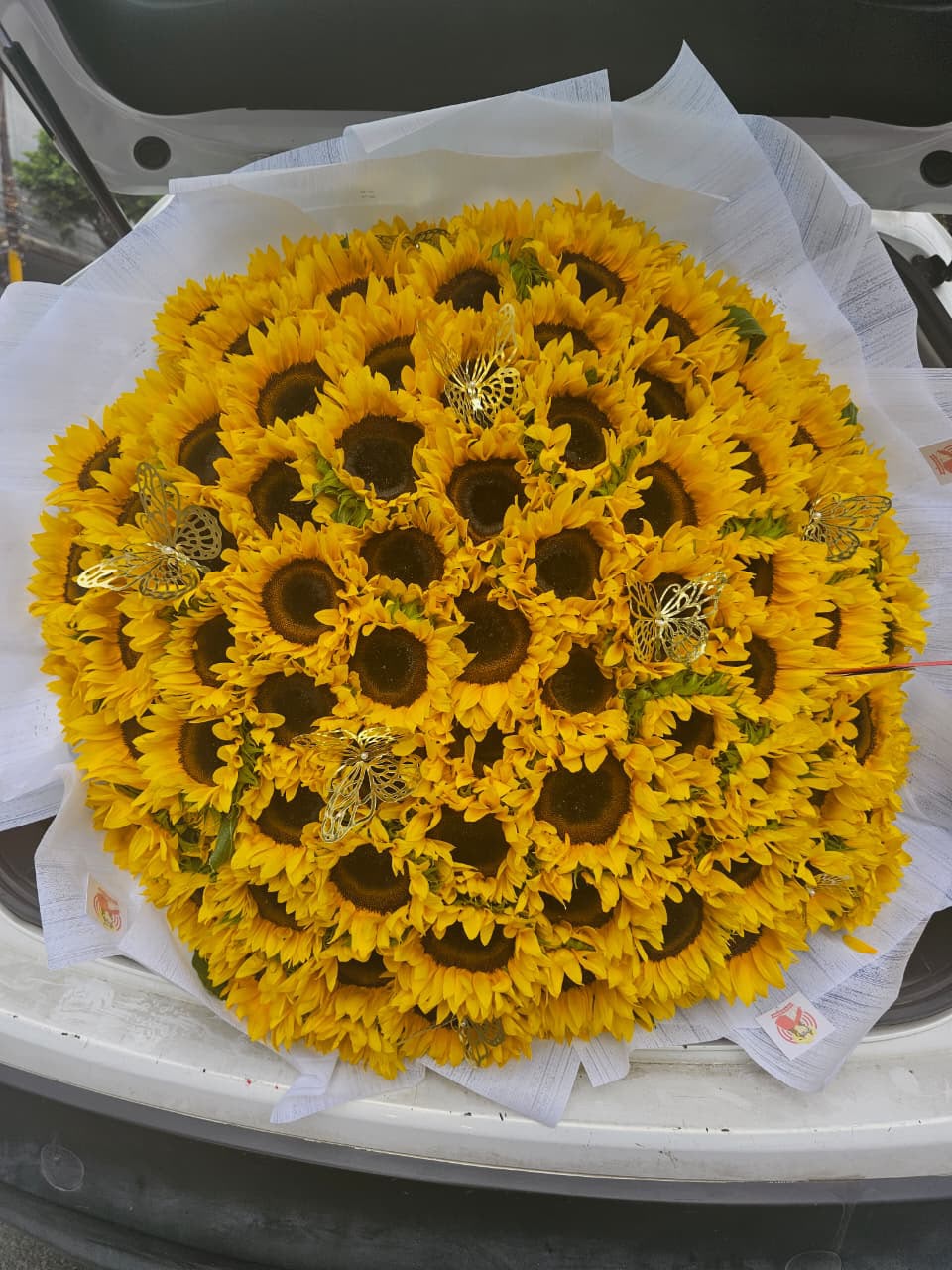 Ramo de 100 Girasoles Gigantes